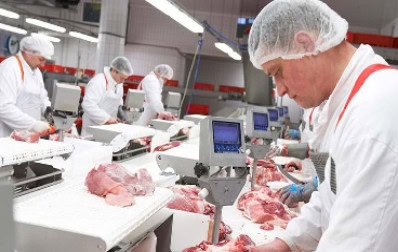 Meat processing sanitation
