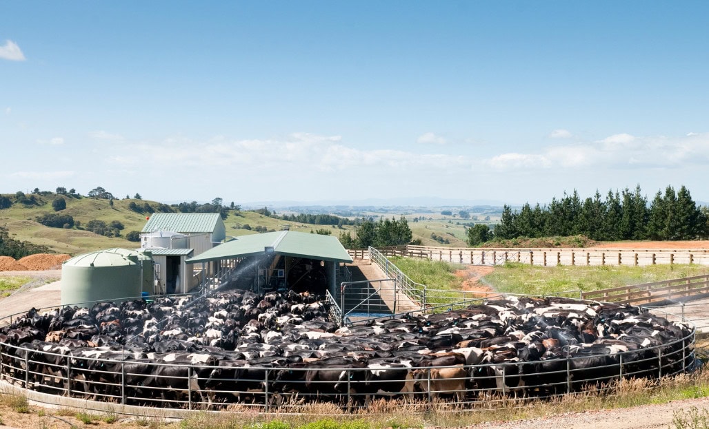 Milking Parlor Nozzle